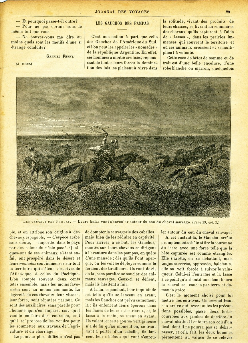 Gauchos