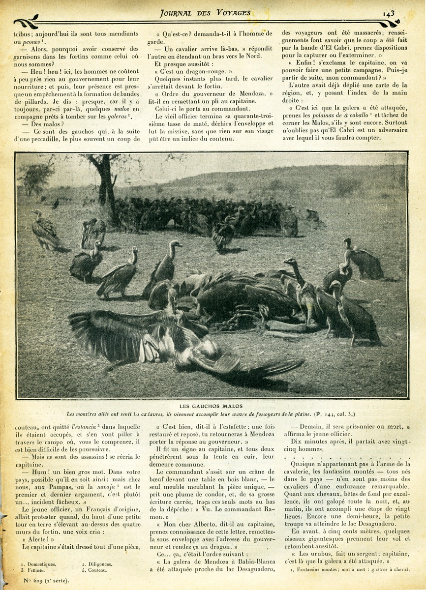 Gauchos